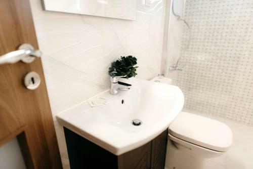 Hostal P�va Pension & Spa