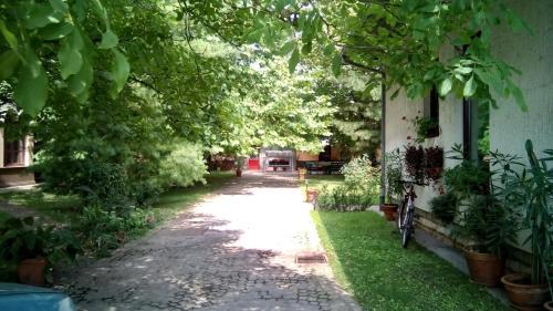 Hostal 3 Platana