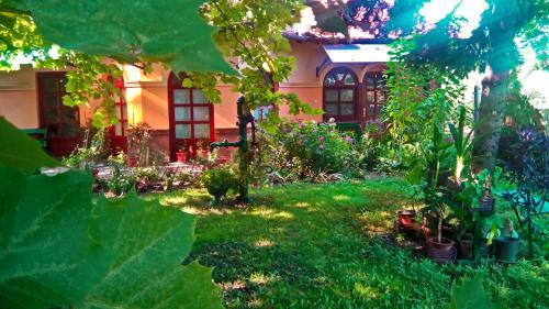 Hostal 3 Platana