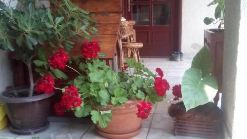 Hostal 3 Platana