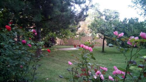 Hostal 3 Platana