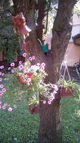 Hostal 3 Platana