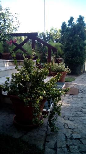 Hostal 3 Platana