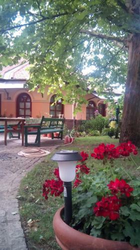 Hostal 3 Platana