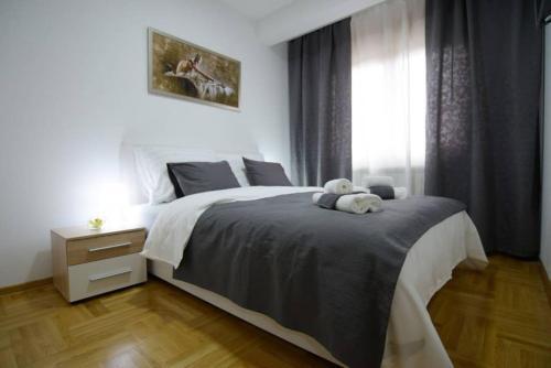 Sunny Apartment 18