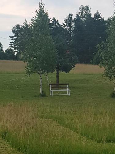 Divcibare Apartmani Cucic