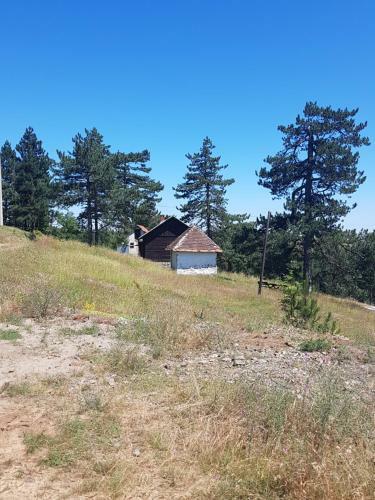 Divcibare Apartmani Cucic