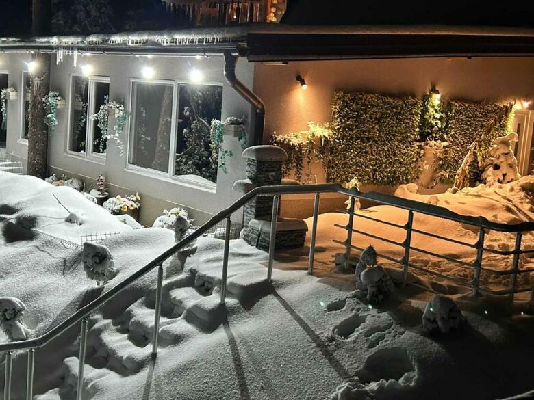 Apartman Boki Divcibare