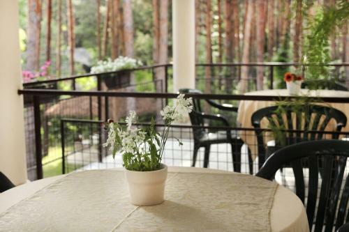 Hostal Vila Dunavski Raj