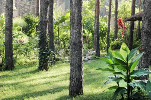 Hostal Vila Dunavski Raj