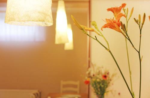 Hostal Vila Dunavski Raj