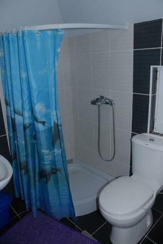 Zlatiborska Zvezdica Apartmani