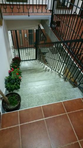 Apartamentos Bolonja