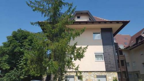 Apartment Caka