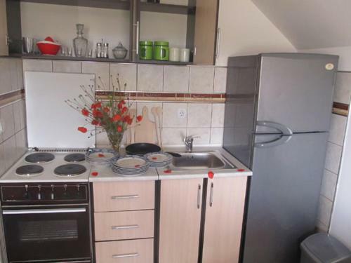 Apartments Markoni