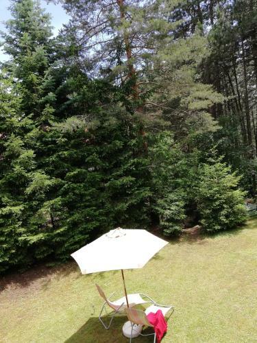 Apartamento Oazamir