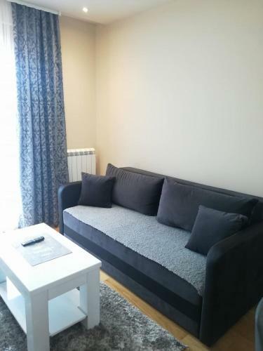 Apartman Erkic Zlatibor