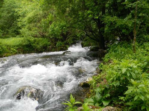 Agroturismo Etno Doma?instvo Milenkovi?
