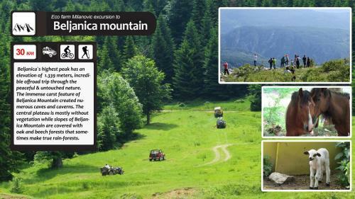 Hostal Eco Farm Milanovic