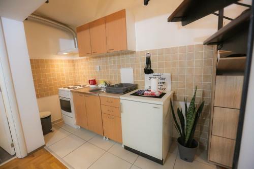 Centar Apartment