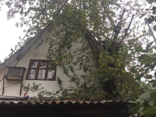Monastyrskaya Izba