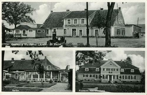 Hotel Dom Lesnika