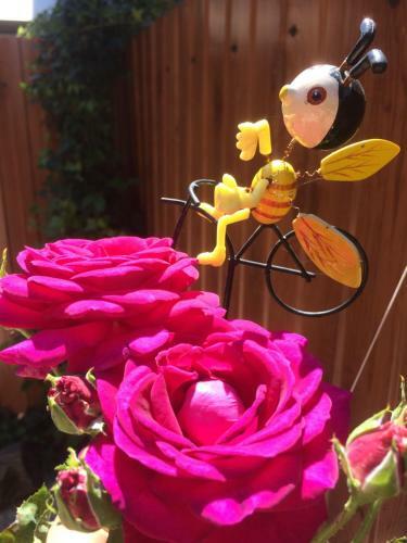 Hostal Guest House Bee