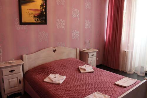 Hotel Volkhov Most