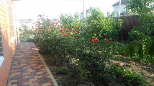 Hostal ???????? ??? ????