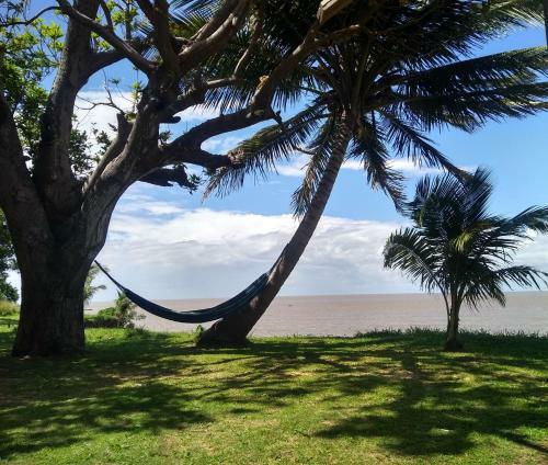 Hostal Pousada Bosque Dos Aru�s