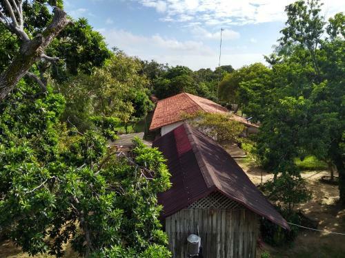 Hostal Pousada Bosque Dos Aru�s