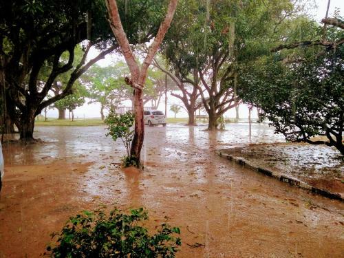 Hostal Pousada Bosque Dos Aru�s
