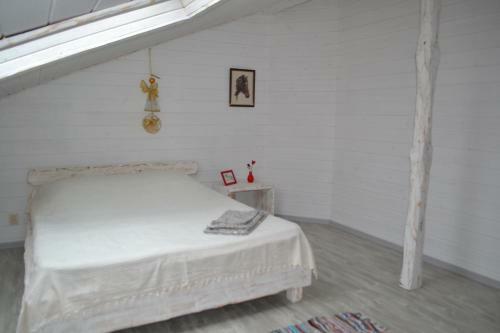 Hostal Guesthouse Konny Dvor Loschinino