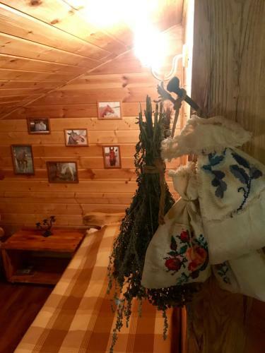 Hostal Guesthouse Konny Dvor Loschinino