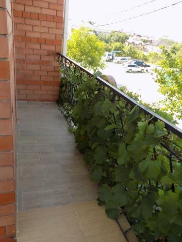 Hostal Guesthouse Viola