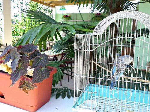 Hostal Guest House Elena