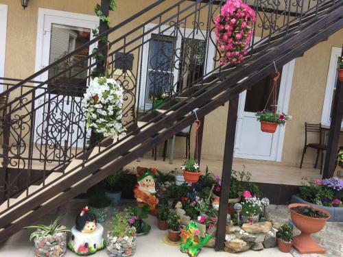 Hostal Guest House Elena