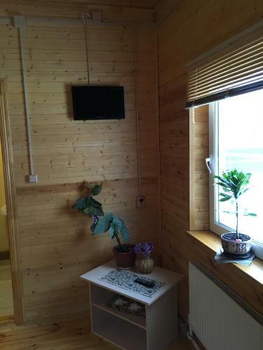 Posada Ramanov Plyos Guest House