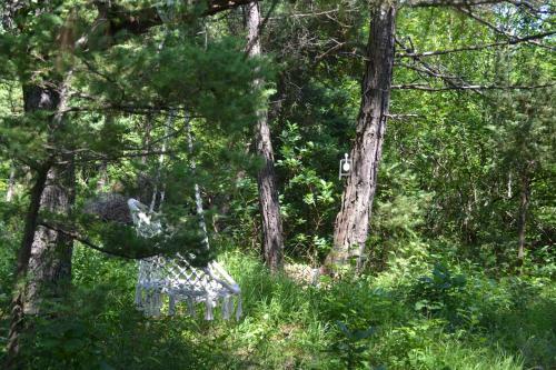 Lodge Altai
