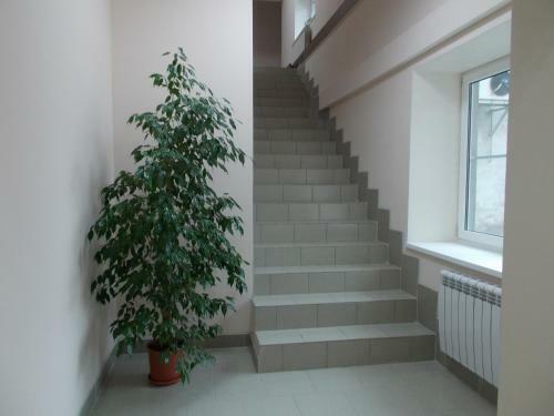 12 Mesyatsev Hotel