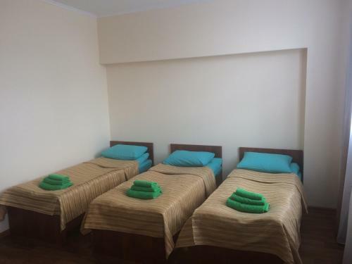 Hotel Onego
