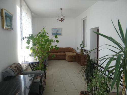 Hostal Alina