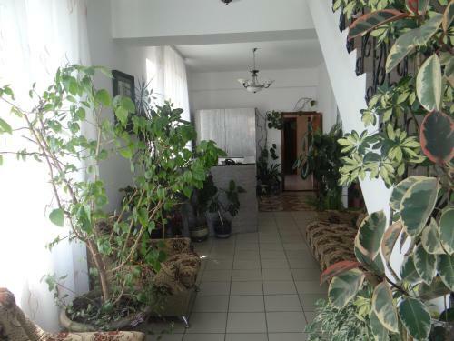 Hostal Alina