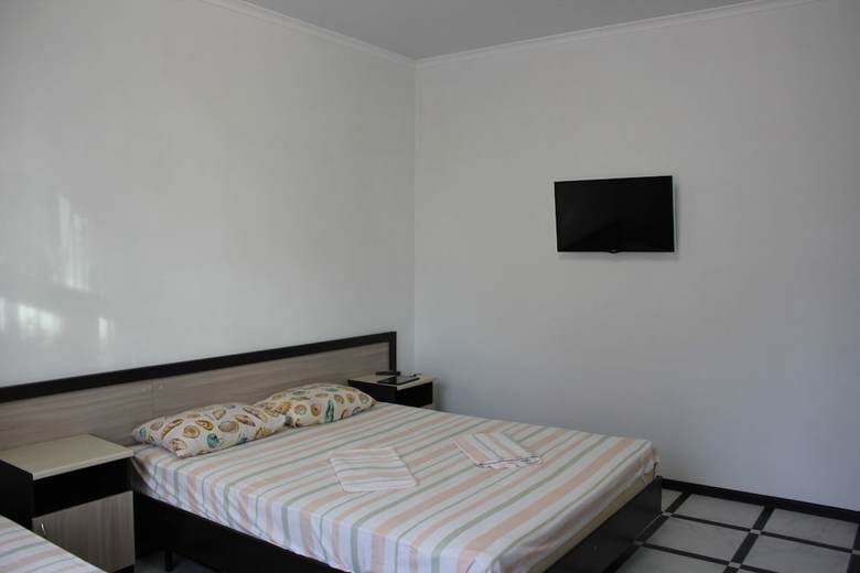 Hostal V Gostyah U Svetlany Guest House