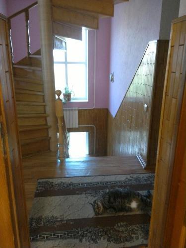 Hostal Guest House Ostrovskogo 31
