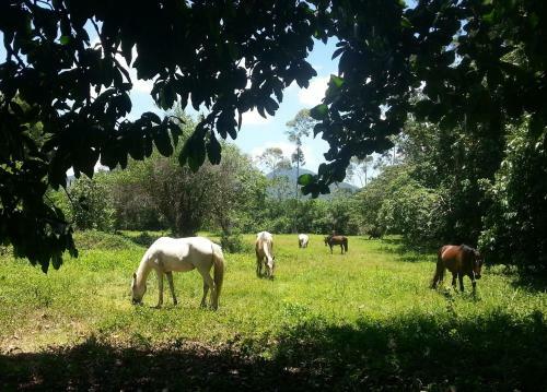 Hotel Fazenda S�tio Nosso Para�so
