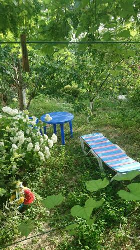 Hostal Guest House Olga