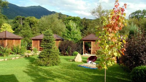 Hotel Belaya Reka