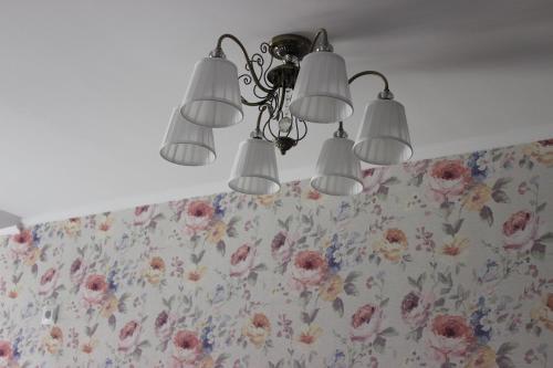 Hostal Provance Guest House