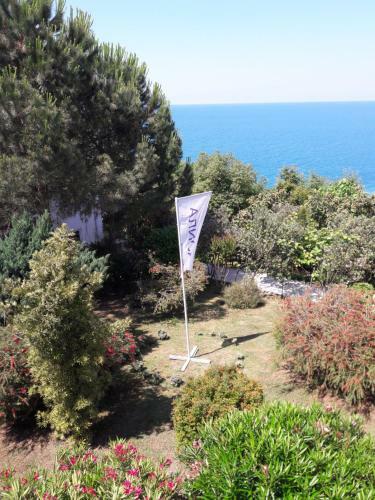 Hostal Guesthouse Alisa